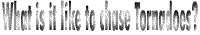 chase.gif (2404 bytes)